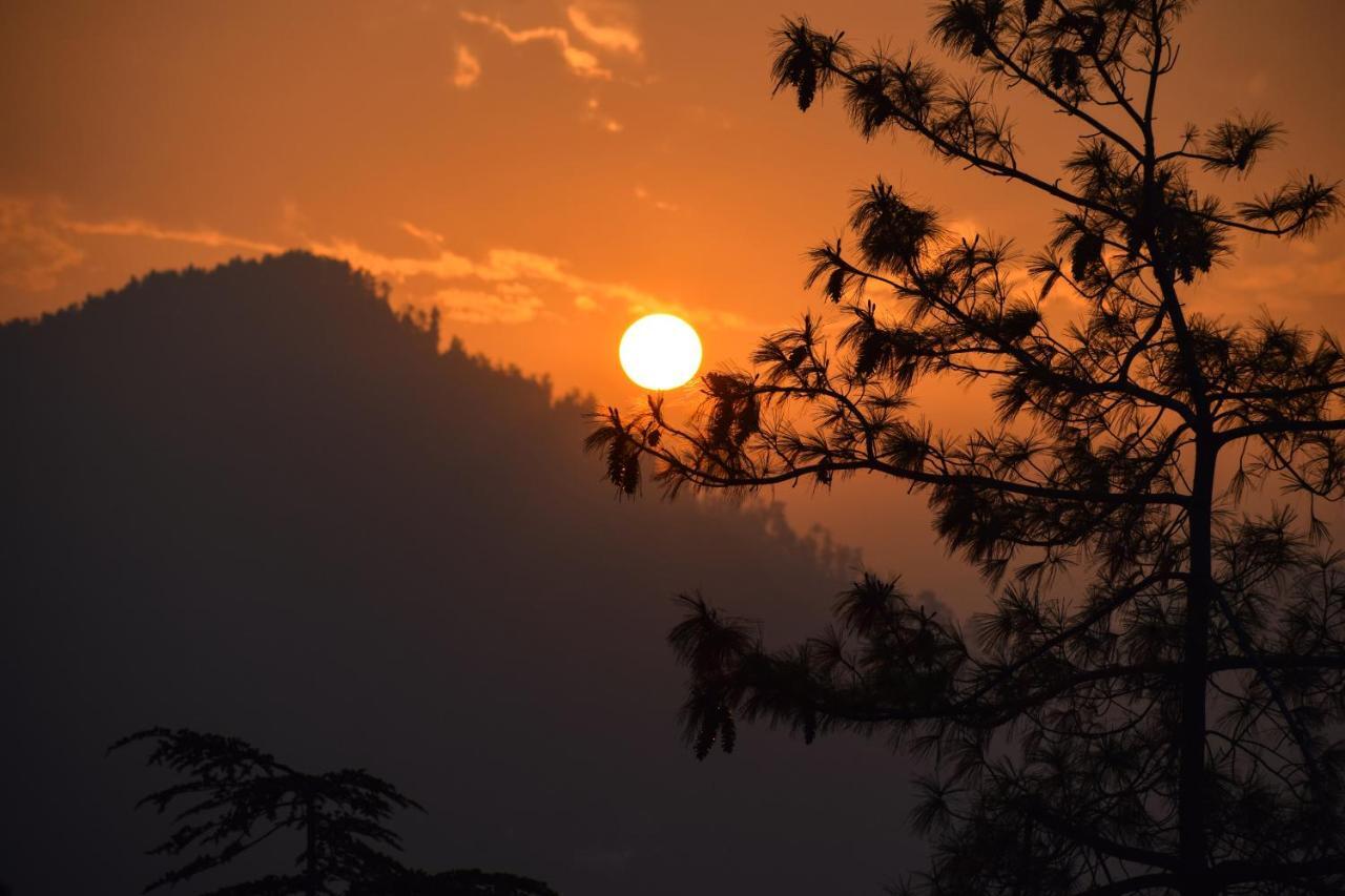 Aachman Nature Valley Resort, Mashobra Shimla Exterior foto