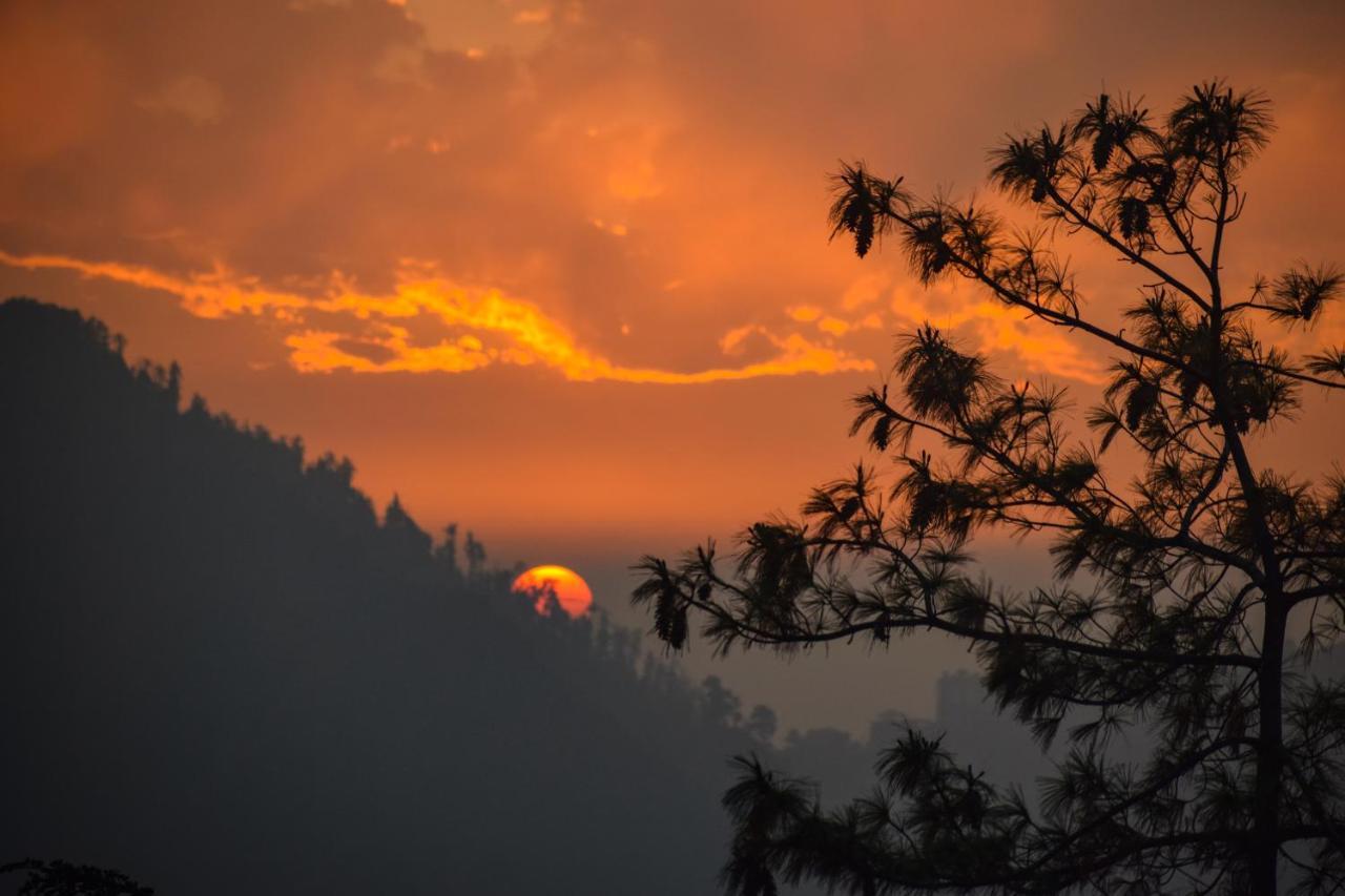 Aachman Nature Valley Resort, Mashobra Shimla Exterior foto